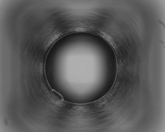 X0000091700297200708311059