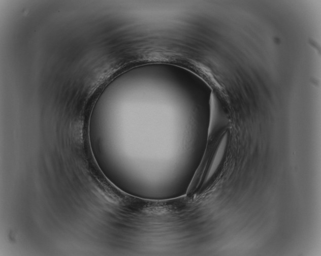 X0000091700299200708311059