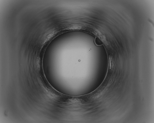 X0000091700300200708311059