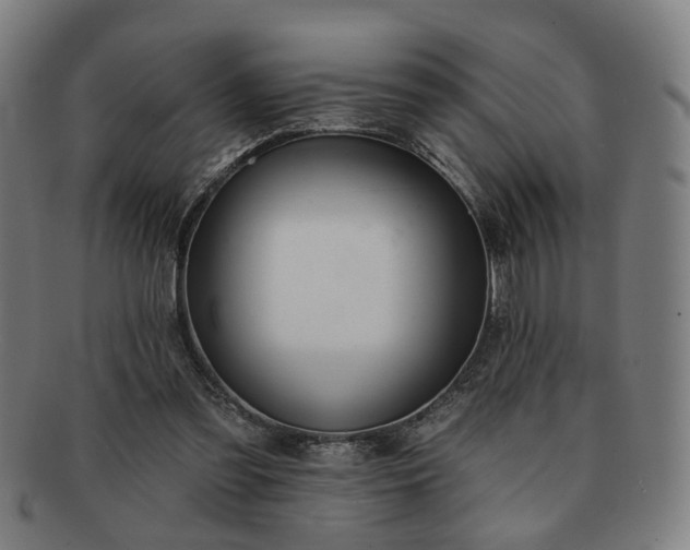 X0000091700301200708311059