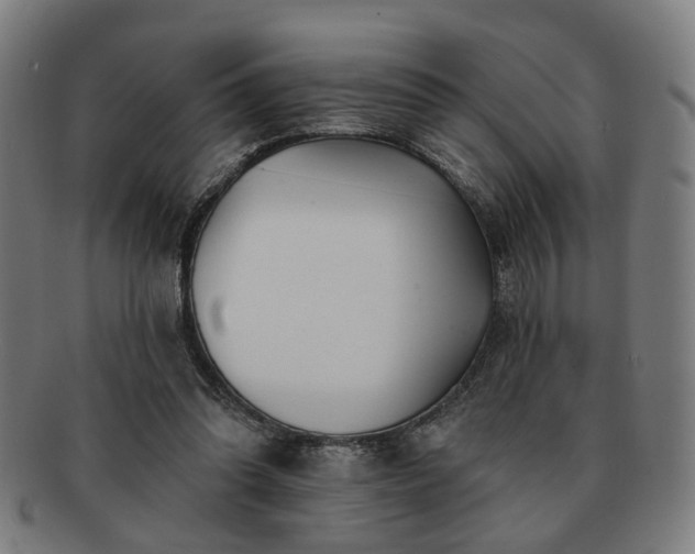 X0000091700302200708311059