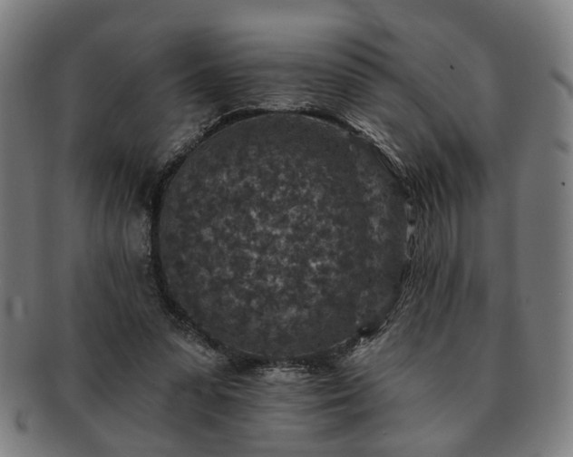 X0000091700303200708311059
