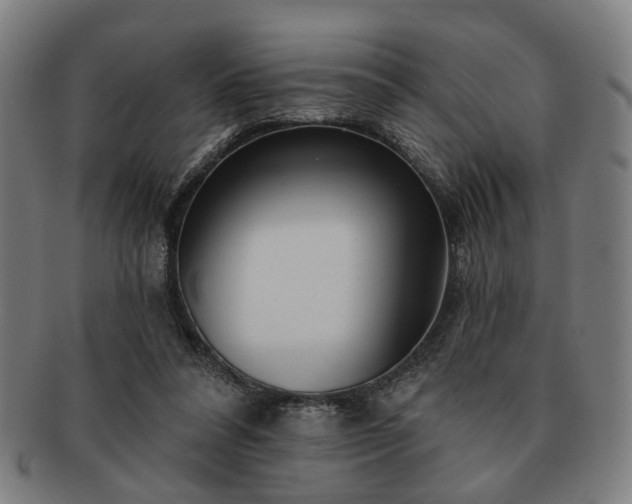 X0000091700304200708311059
