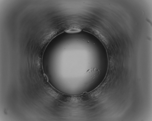 X0000091700305200708311059