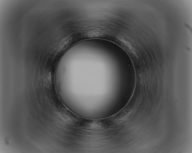X0000091700308200708311059