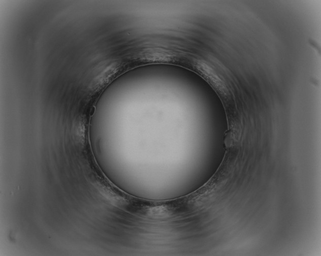 X0000091700309200708311059