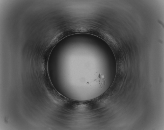 X0000091700312200708311059