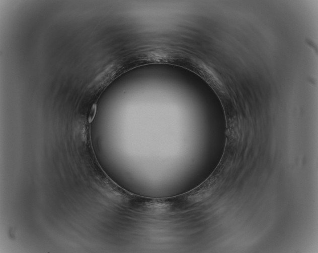 X0000091700313200708311059