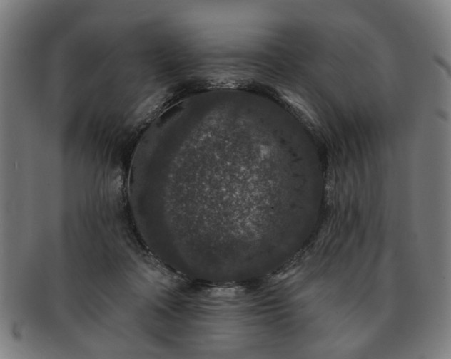 X0000091700314200708311059