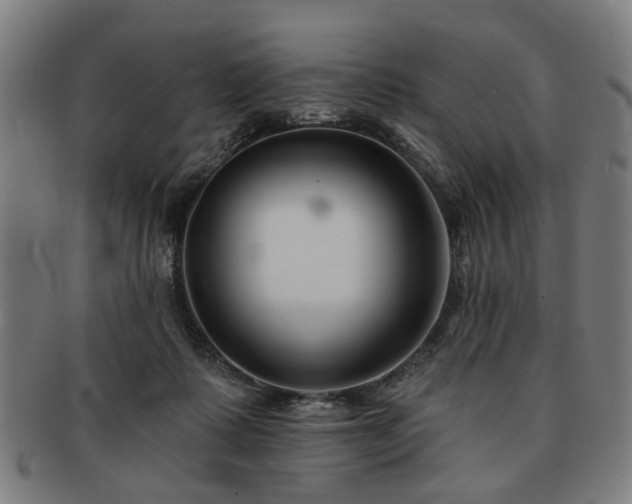 X0000091700315200708311059