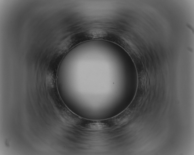 X0000091700316200708311059