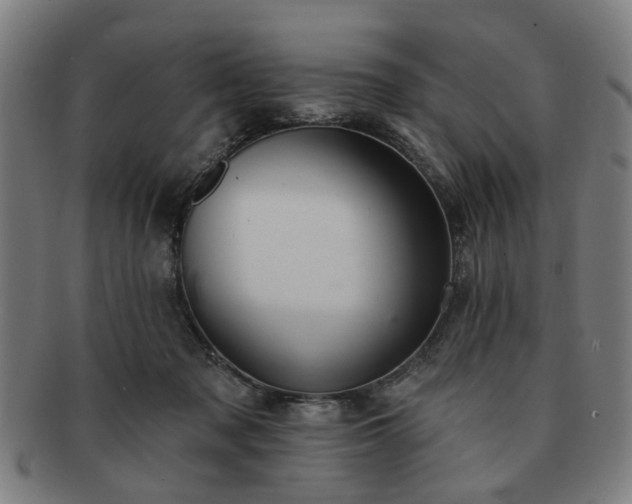X0000091700317200708311059