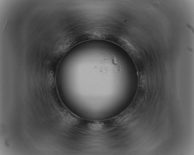 X0000091700318200708311059