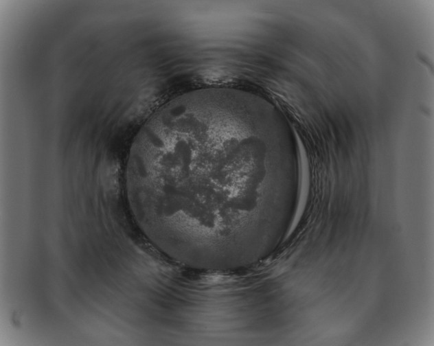X0000091700319200708311059