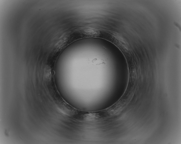 X0000091700320200708311059
