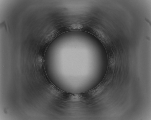 X0000091700321200708311059