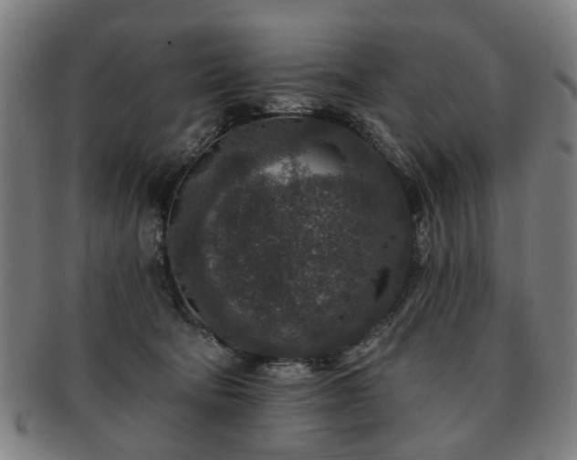 X0000091700322200708311059