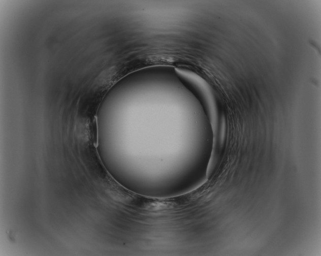 X0000091700323200708311059