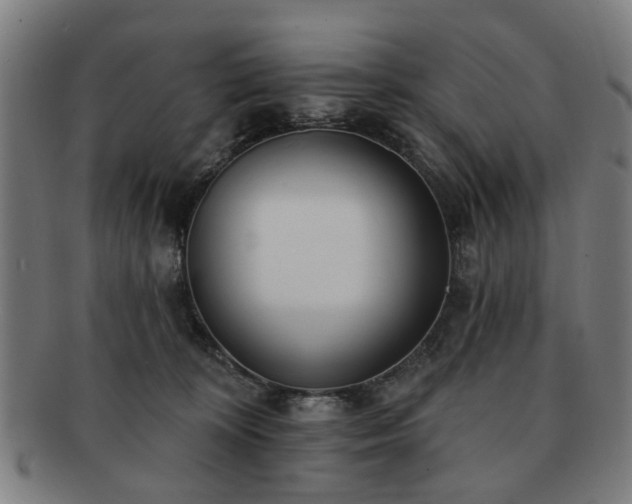 X0000091700324200708311059