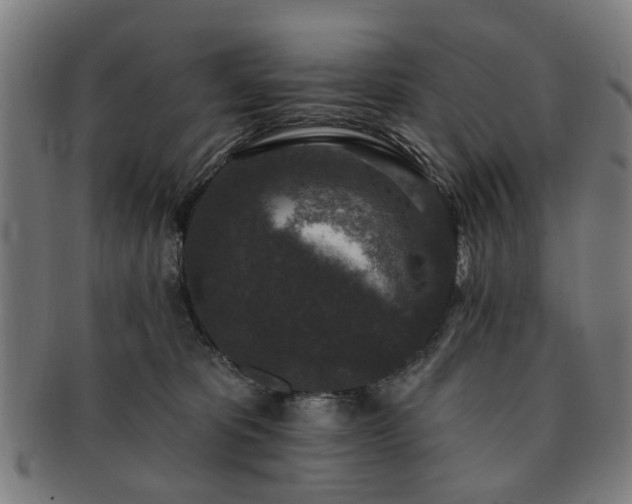 X0000091700325200708311059