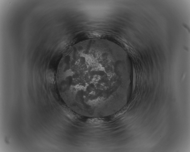 X0000091700331200708311059