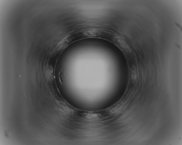 X0000091700332200708311059