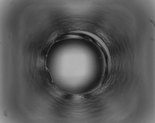 X0000091700333200708311059
