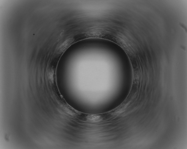 X0000091700334200708311058