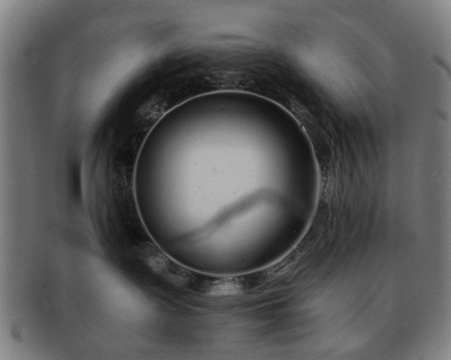 X0000091700335200708311058