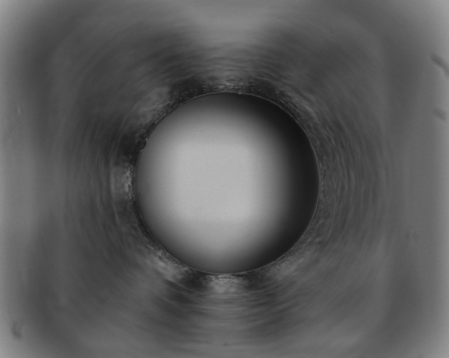 X0000091700336200708311058