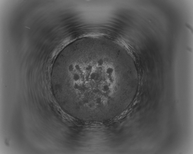 X0000091700337200708311058