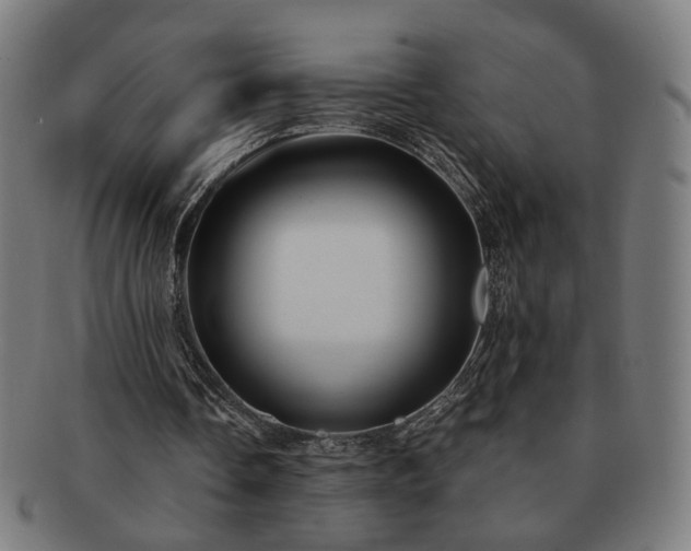 X0000091700338200708311058