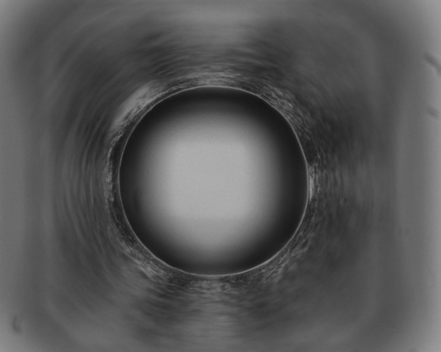 X0000091700339200708311058