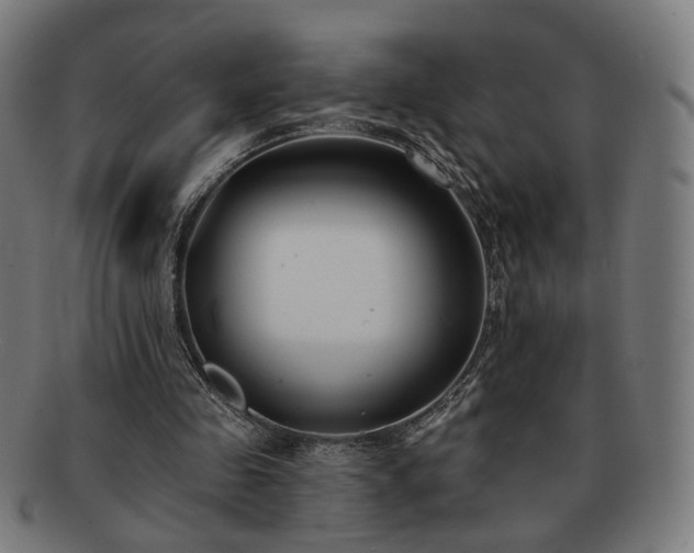 X0000091700341200708311058