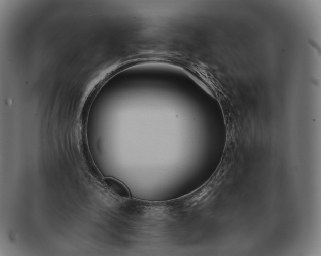X0000091700342200708311058