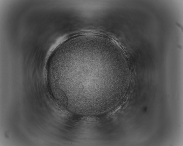 X0000091700343200708311058