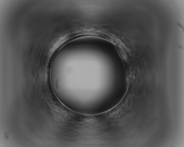X0000091700344200708311058