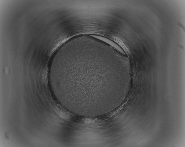 X0000091700346200708311058