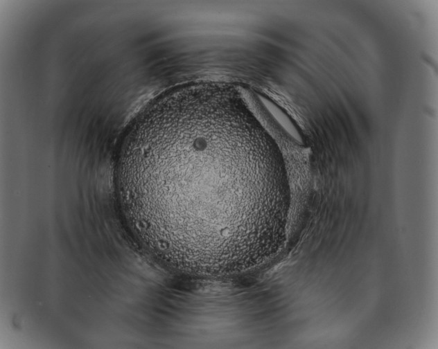 X0000091700347200708311058