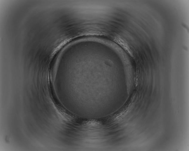 X0000091700348200708311058
