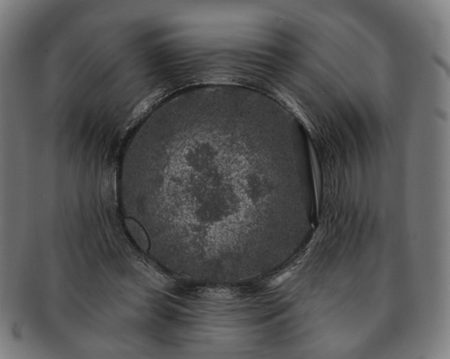 X0000091700349200708311058
