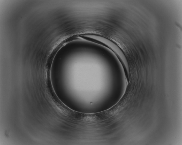 X0000091700350200708311058