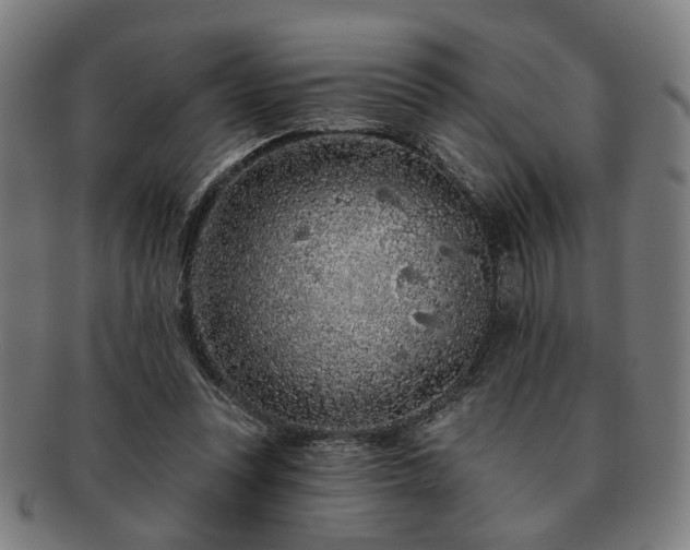 X0000091700351200708311058