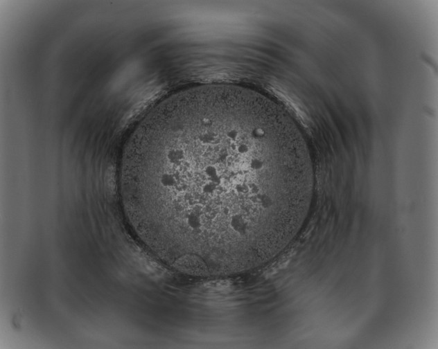 X0000091700353200708311058