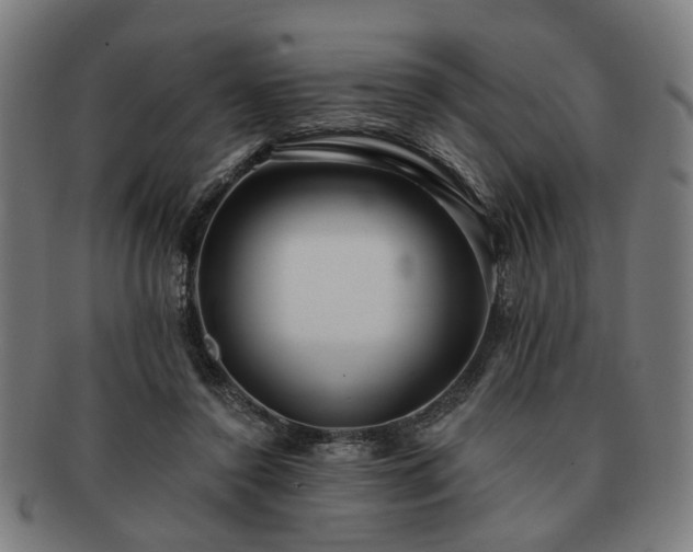 X0000091700356200708311058