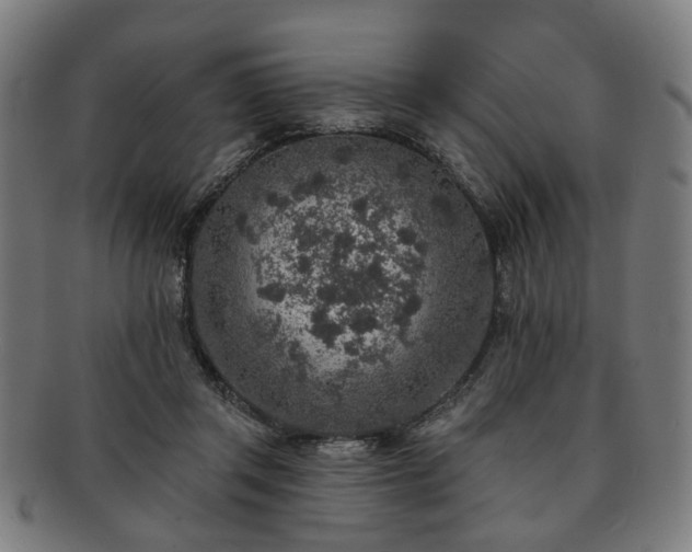 X0000091700357200708311058