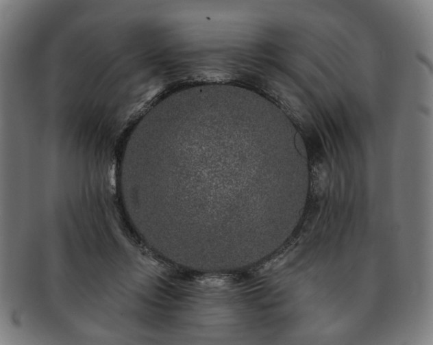 X0000091700358200708311058