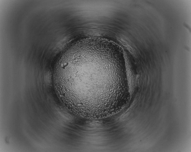 X0000091700359200708311058