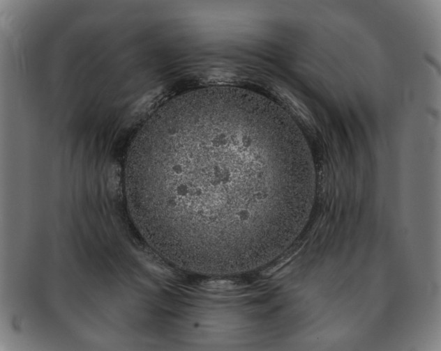 X0000091700361200708311058
