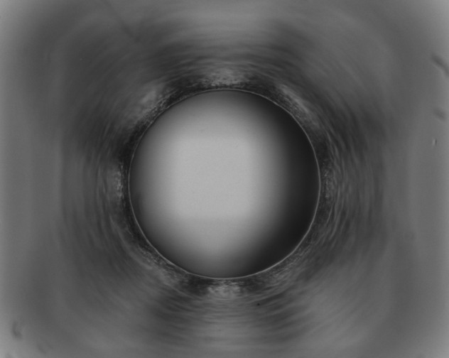 X0000091700362200708311058